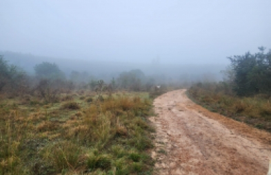 Fazenda para venda em Botucatu
